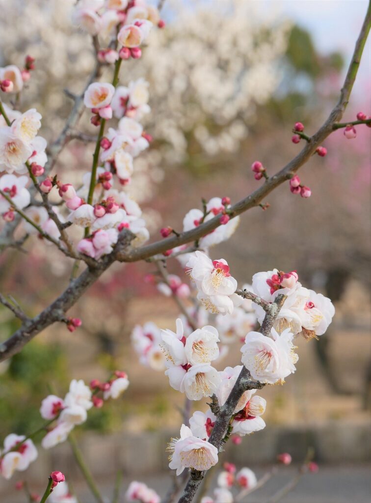 高校生におけるAGA治療の効果はどのようなものですか？