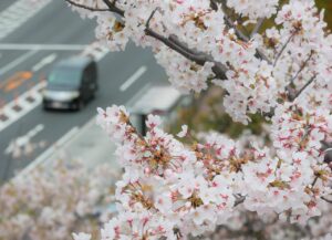 クリニックフォアのAGA治療は評判通り効果的なのか？