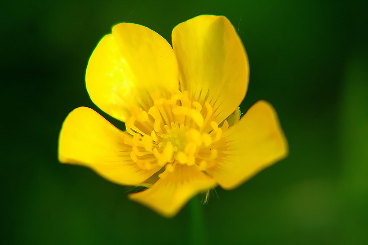 生え際の薄毛治療に効果的な方法は？