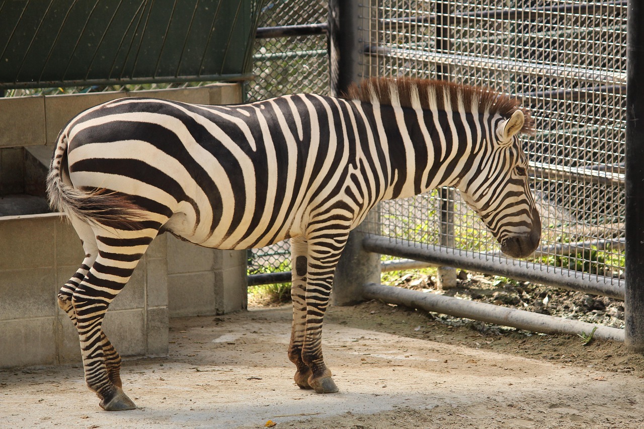 福岡でAGA治療を受けるならおすすめのクリニックは？