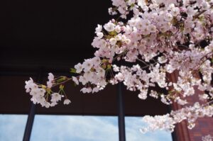 AGAクリニック札幌の比較で選ぶべきおすすめは？